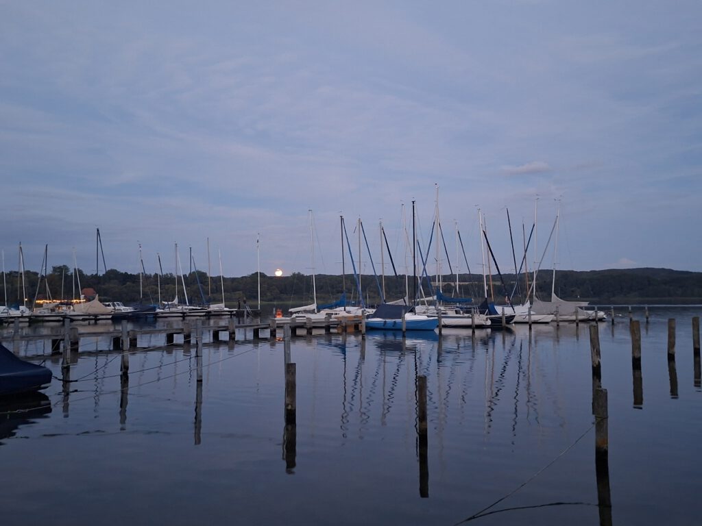 20260829_204228